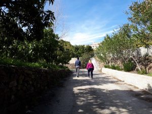 Foto visita plantación de tropicales con escapadas en Málaga